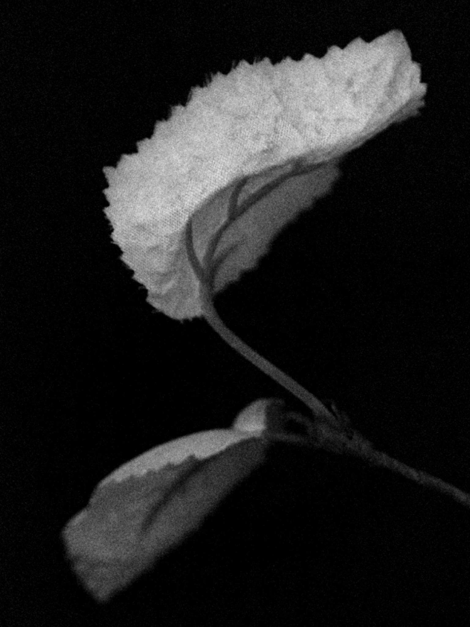 ASH DURDEN - ROMANCE