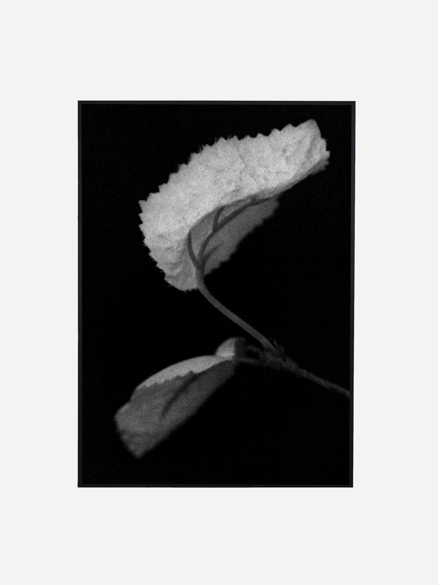 ASH DURDEN - ROMANCE