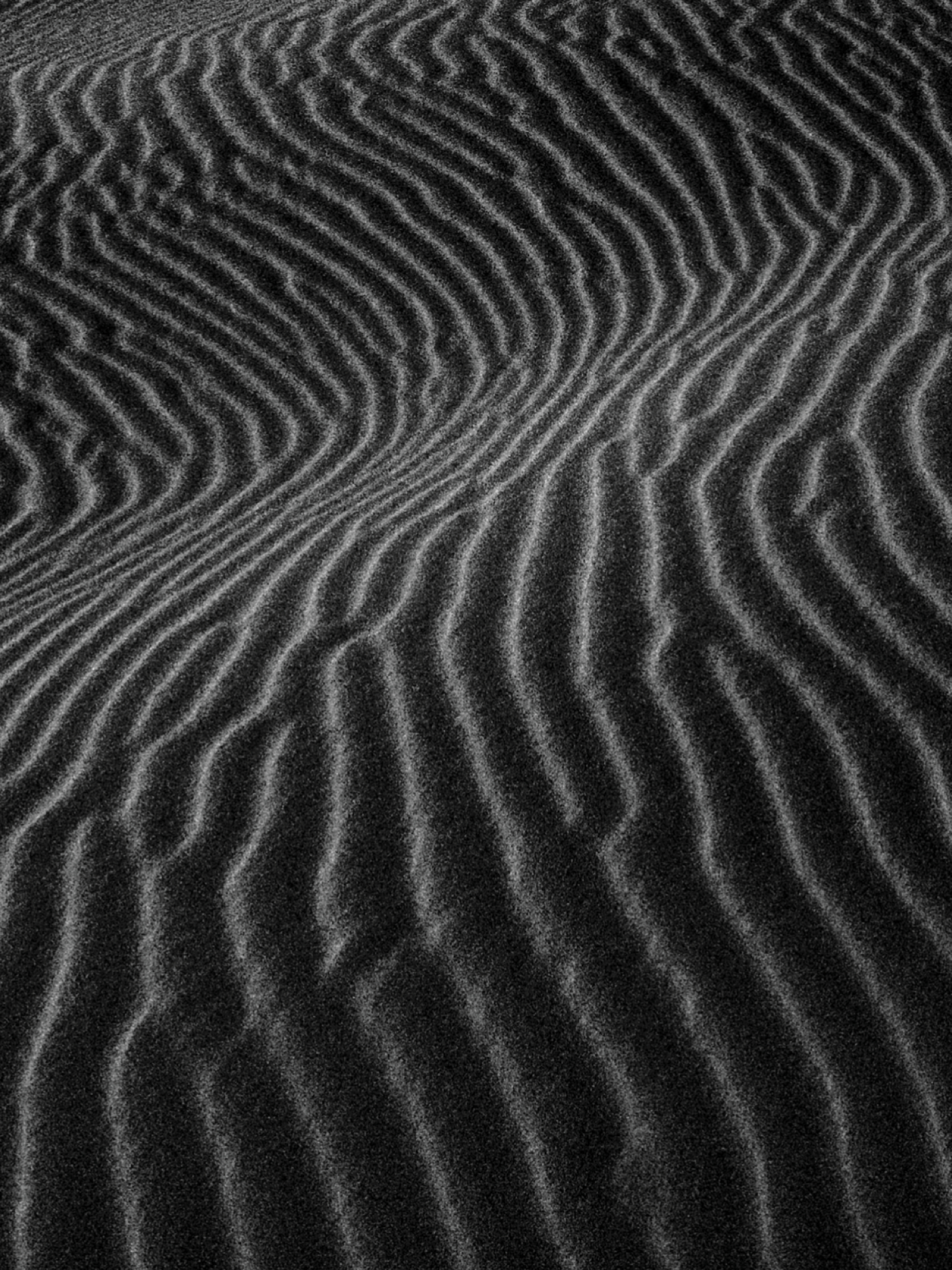 ASH DURDEN - DUNES