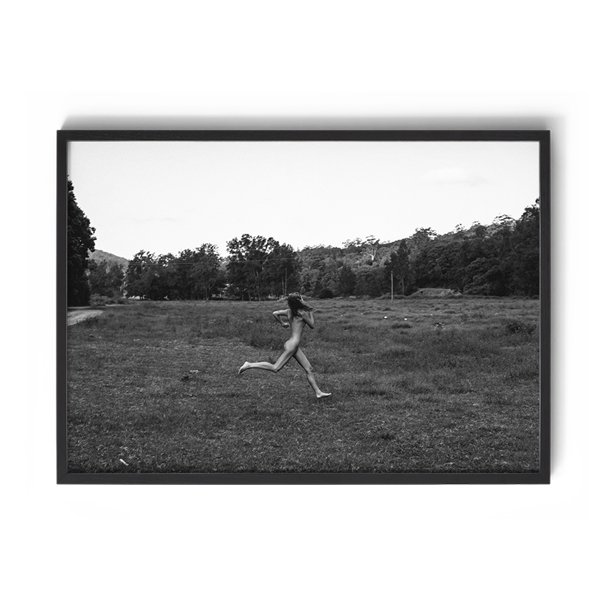 TROY FREYEE - Trespassing