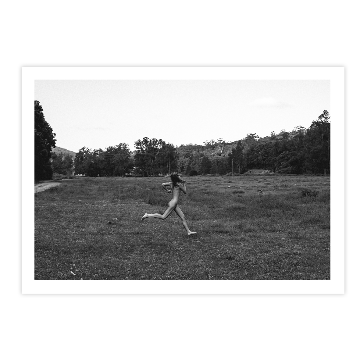 TROY FREYEE - Trespassing