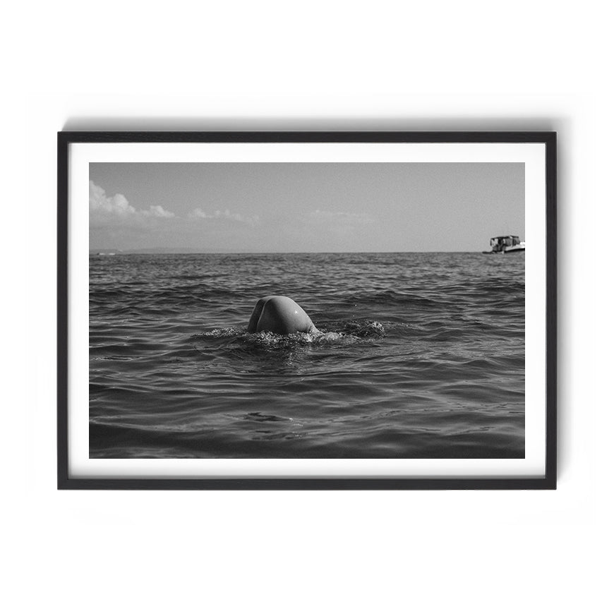 TROY FREYEE - Morning Dip