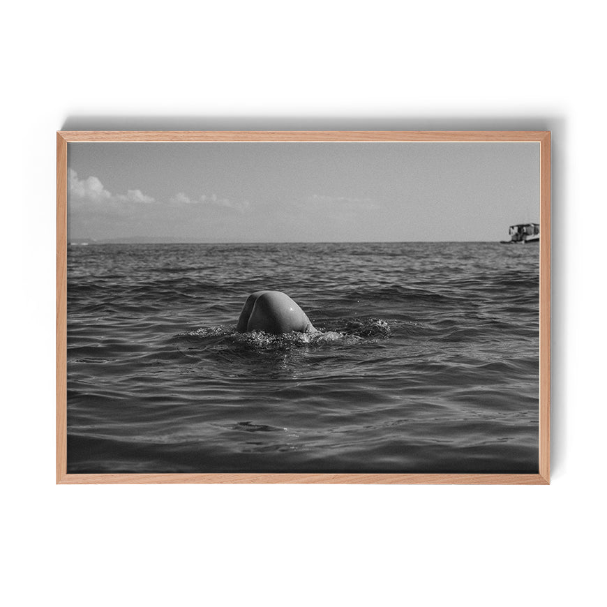 TROY FREYEE - Morning Dip