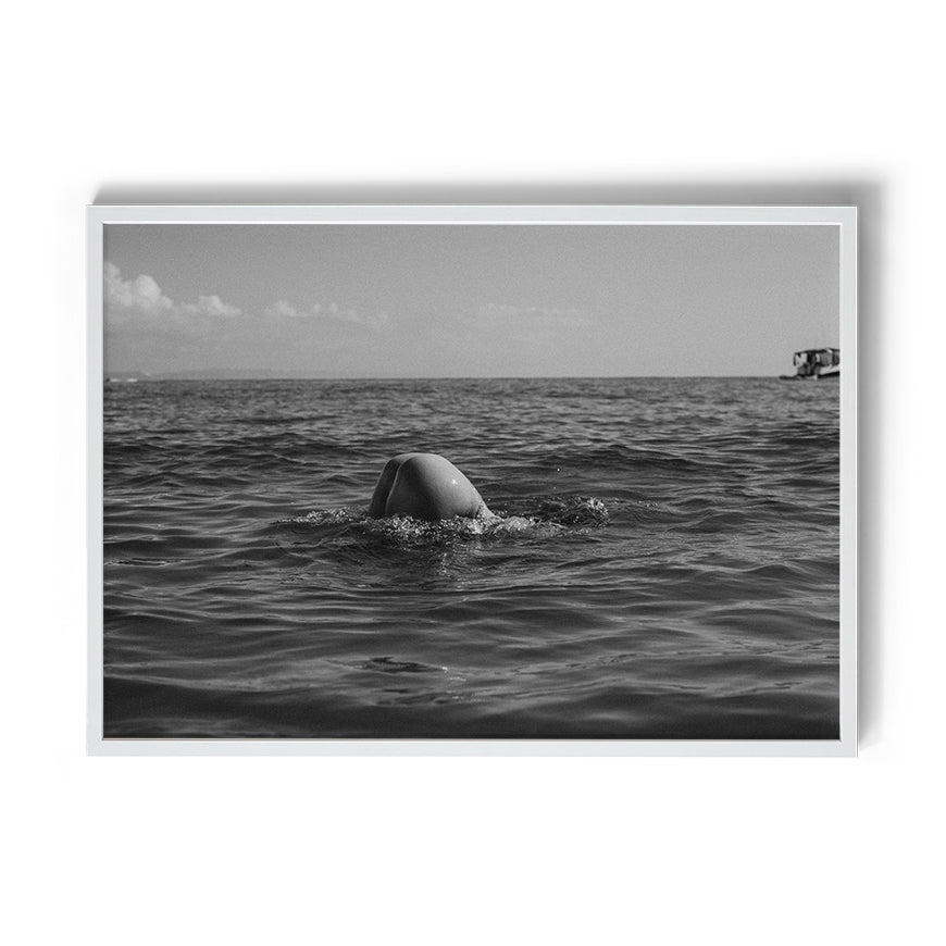 TROY FREYEE - Morning Dip