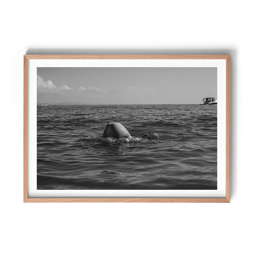 TROY FREYEE - Morning Dip