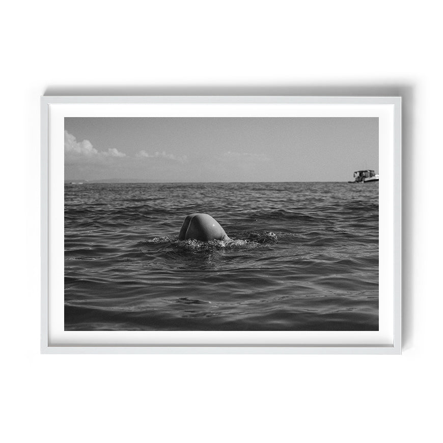 TROY FREYEE - Morning Dip