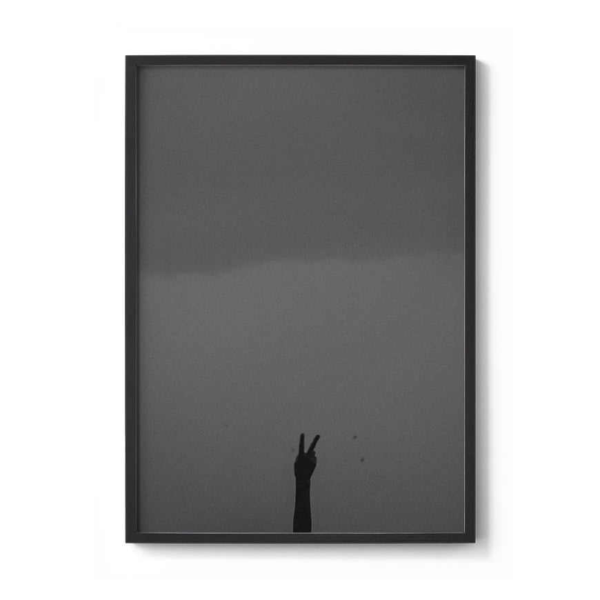 TROY FREYEE - Peace out